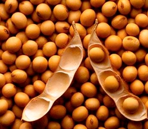 Soya beans