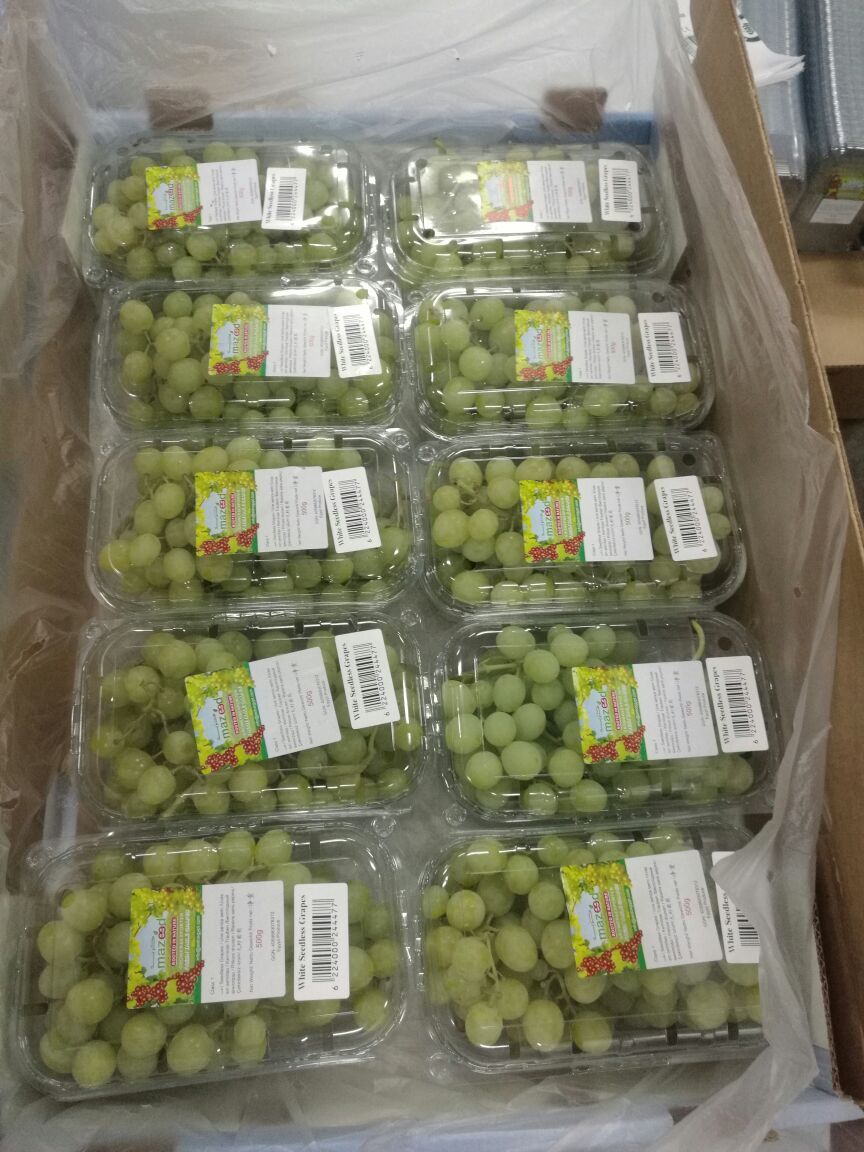 500g clamshells of white seedless grapes packed in an export carton
