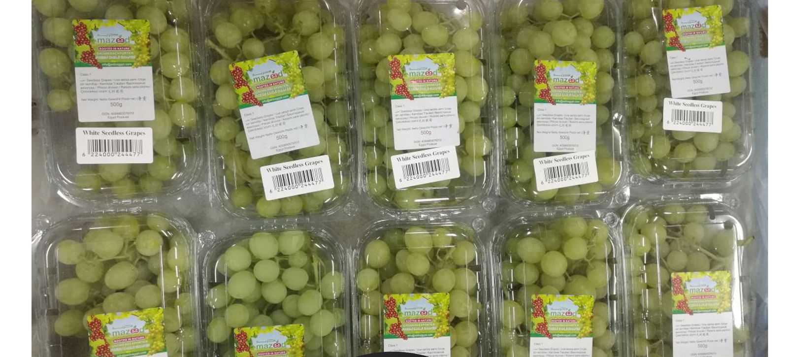 White seedless grapes in labelled 500g clamshells