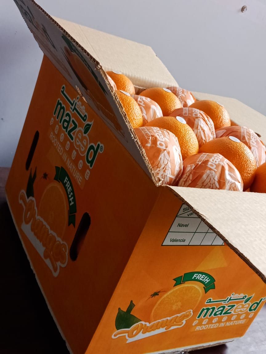 Orange export carton