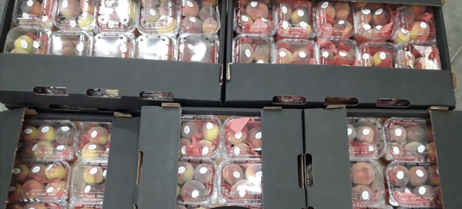 Peaches packed in punnets and trays
