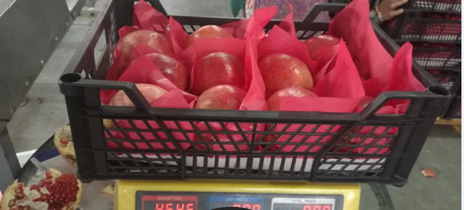 Weighing packed pomegranates in the packhouse