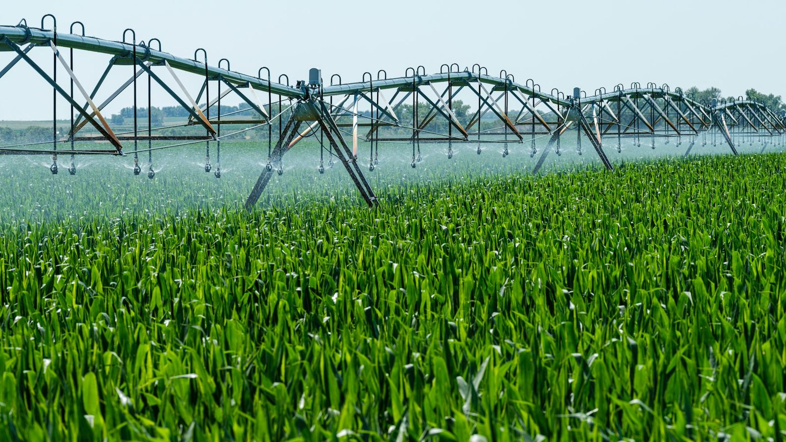 Center-pivot irrigation over field crops